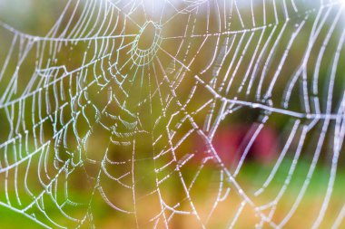 Web 'in soyut görünümüne sahip arkaplan