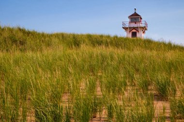 Dune çim ve deniz feneri