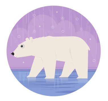 karikatür kutup ayısı