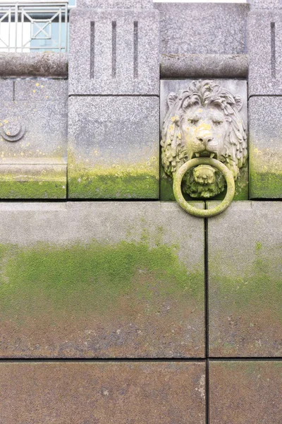 Lion\'s Head on Wall