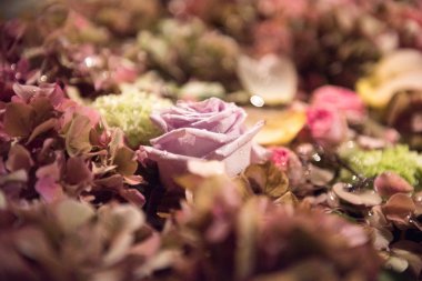 Bir tam kare planda çeşitli yaz çiçek