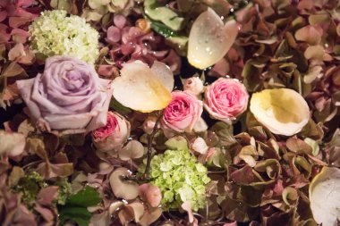 Bir tam kare planda çeşitli yaz çiçek