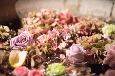 Bir tam kare planda çeşitli yaz çiçek