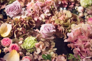 Bir tam kare planda çeşitli yaz çiçek