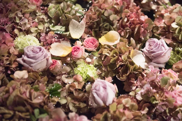 Surtido de flores de verano en un fondo de marco completo —  Fotos de Stock