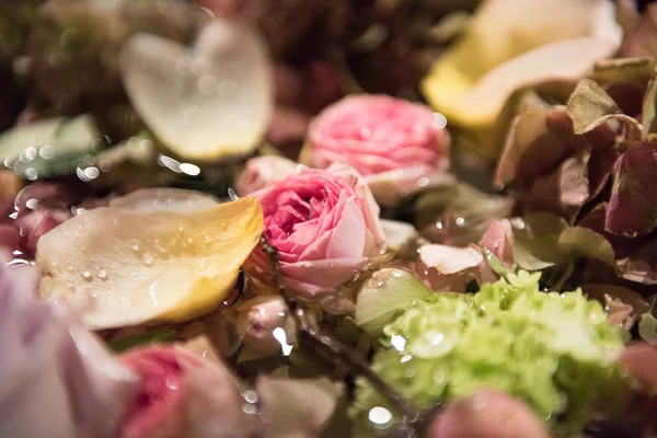 Surtido de flores de verano en un fondo de marco completo —  Fotos de Stock