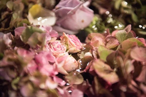 Bir tam kare planda çeşitli yaz çiçek