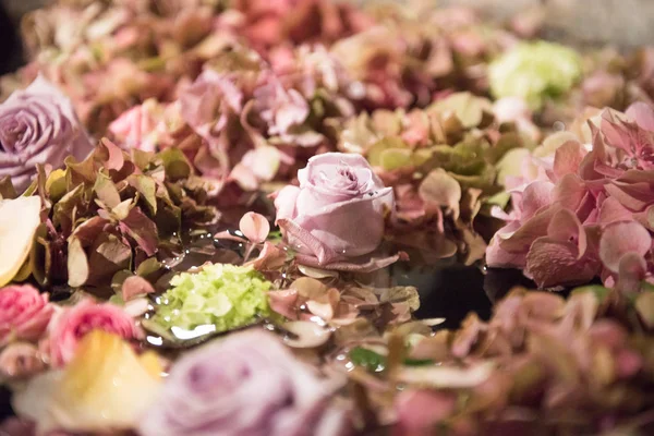 Surtido de flores de verano en un fondo de marco completo —  Fotos de Stock