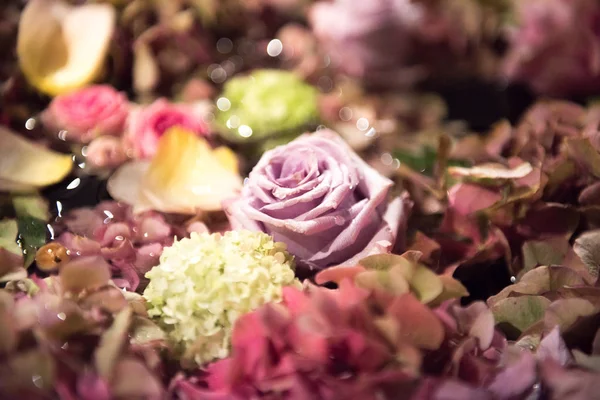 Assorted summer flowers in a full frame background — Stock Photo, Image