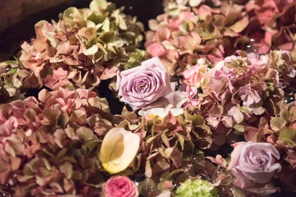 Surtido de flores de verano en un fondo de marco completo —  Fotos de Stock