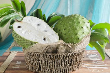 Soursop also graviola, guyabano is the fruit of Annona muricata clipart