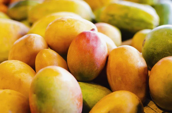 El mango es un cítrico que crece en la Zona Intertropical y es pulpa carnosa y dulce. Destaca entre sus principales características su buen gusto y variedad . — Foto de Stock