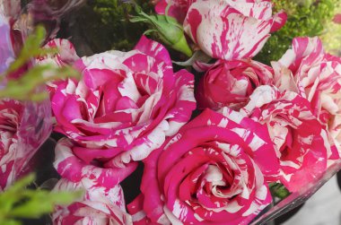 Bir bukette süslenmiş kırmızı ve beyaz güller.