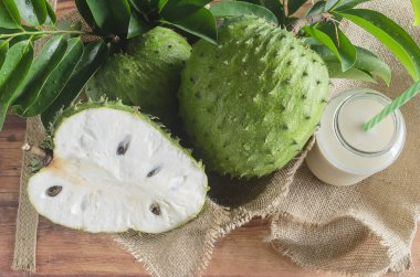 Soursop also graviola, guyabano is the fruit of Annona muricata clipart