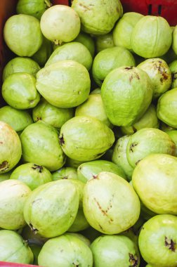 Satılık yeşil guava resmi