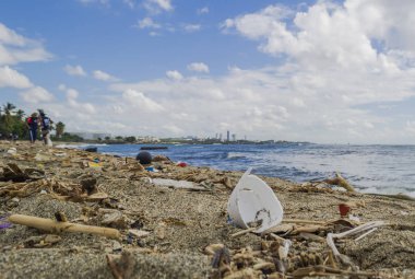Dominik Cumhuriyeti plajlarında plastik çöp, Karayip Denizi 'nde atık toplama