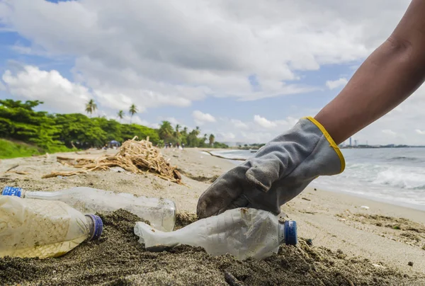 pick up person plastic garbage on beaches, wearing gloves collected from waste in the Caribbean Sea