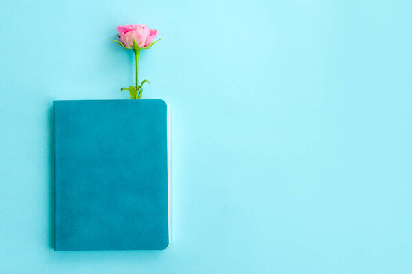 Top view of blue color book with empty cover and rose flower inside on a light blue background. Copy space
