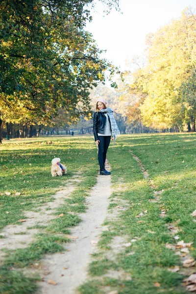 Autumn walk with cute dog in autumn park