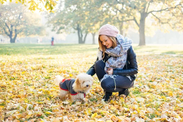 Autumn walk with cute dog in autumn park