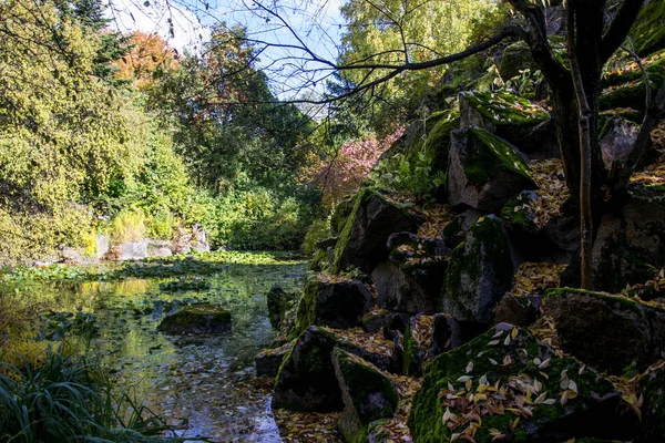 gizemli bir su birikintisi. sonbahar manzara.
