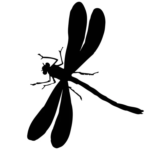 Siyah ve beyaz bir yusufçuk silüeti — Stok Vektör