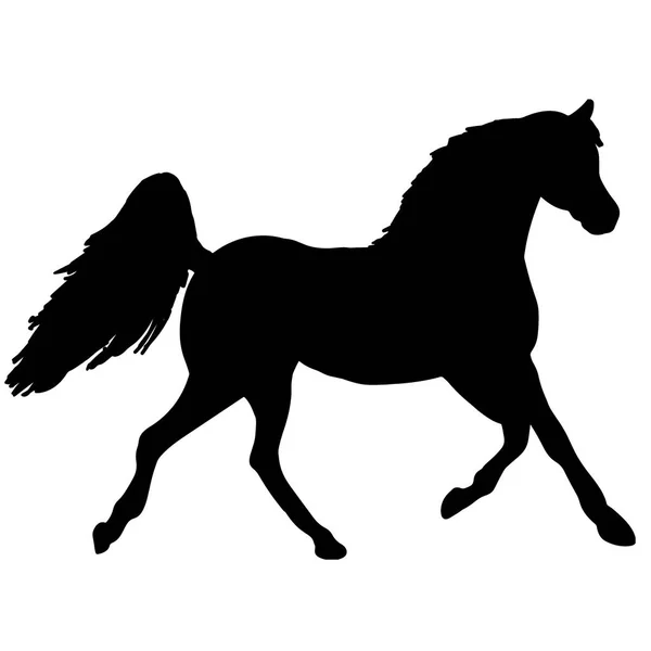 馬罰金ベクトル シルエットと概要 - 優雅な黒種牡馬を飼育 — ストックベクタ