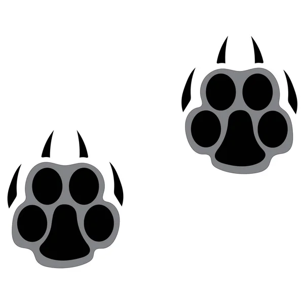 Ayak izleri büyük bir kedi. Panter veya kaplan izleri