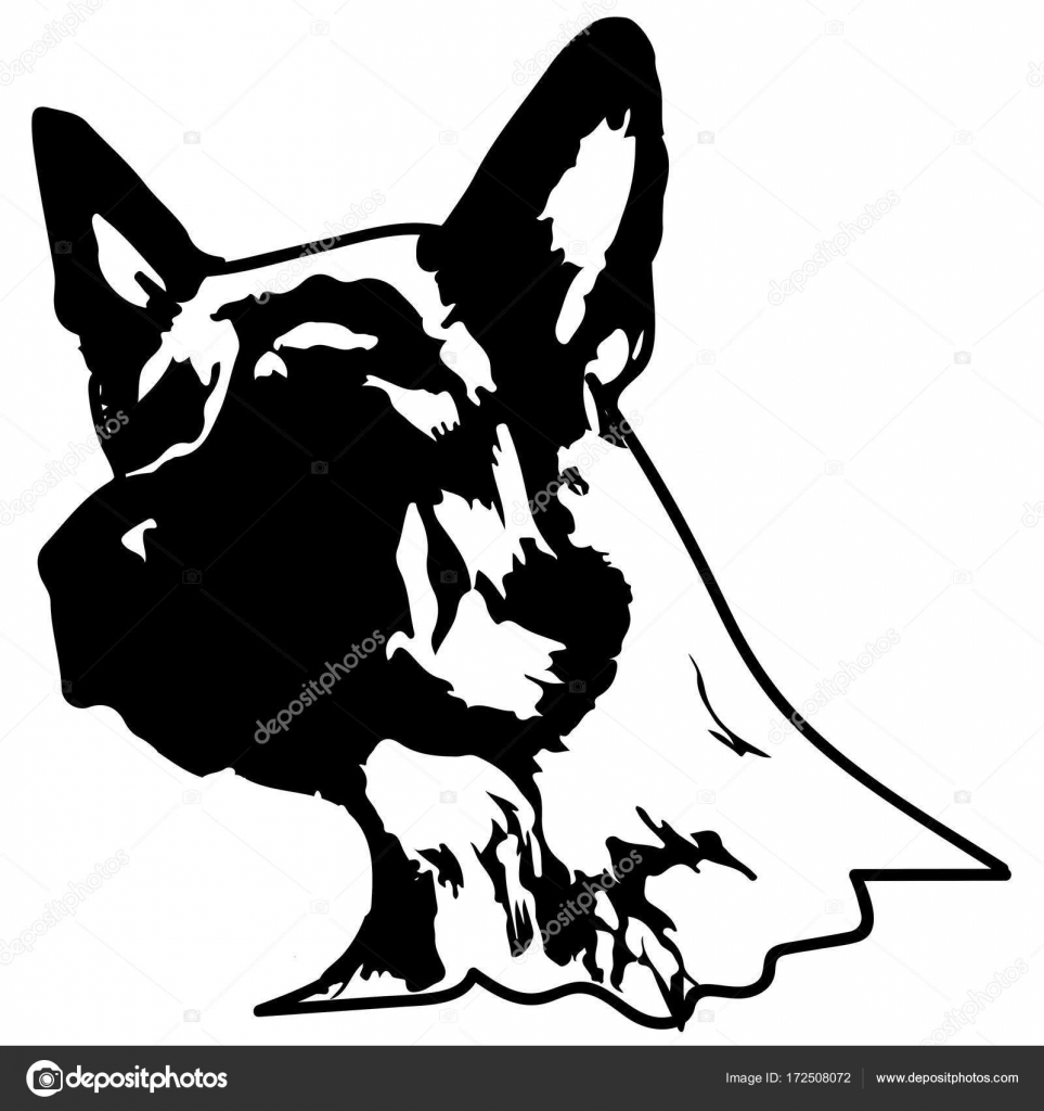 Silhouette Of A Dog Vector Illustration Of German Shepherd Vector Image By C Tcheres Vector Stock Silhouette Of A Dog Vector Illustration Of German Shepherd Vector Image By C Tcheres Vector Stock