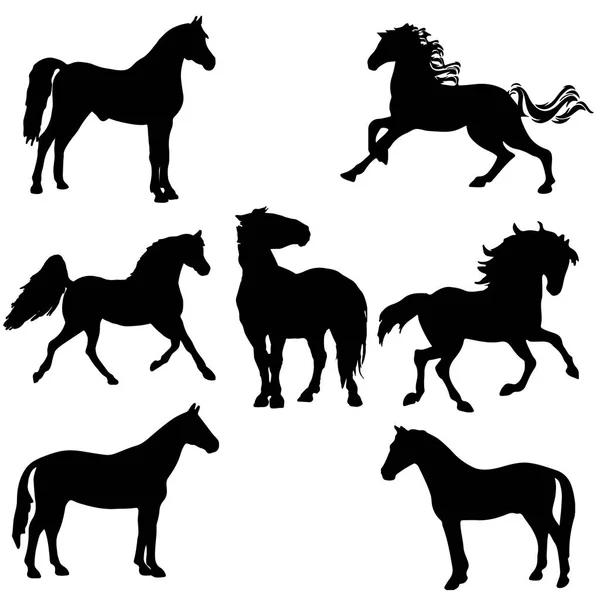 Schwarze Pferdesilhouette Cliparts. Vektorillustration — Stockvektor