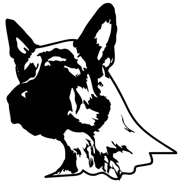 Siluet bir köpek. Alman çoban vektör çizim. — Stok Vektör