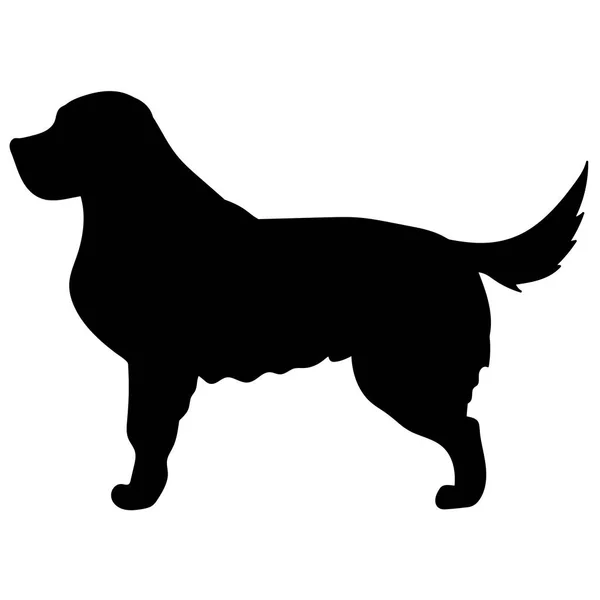 Labrador retriver silhouette vector — Stock Vector