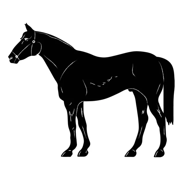 Rearing up horse fine vector silhouette and outline - graceful black stallions — Stock Vector