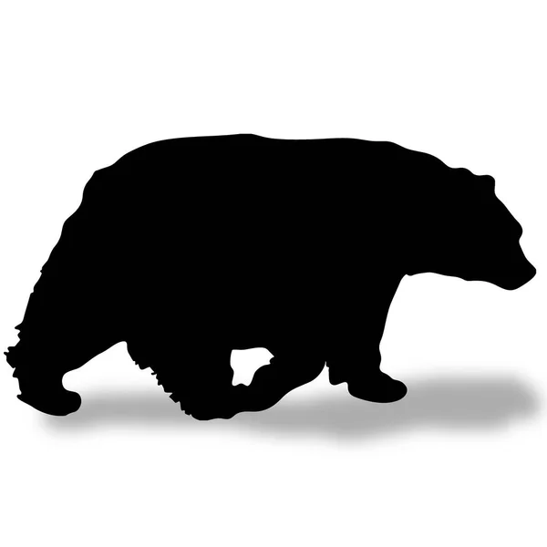 Silhouette orso nero con ombra — Foto Stock