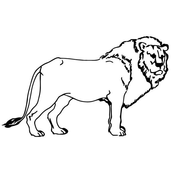 Silueta vectorial blanco y negro de un león — Archivo Imágenes Vectoriales