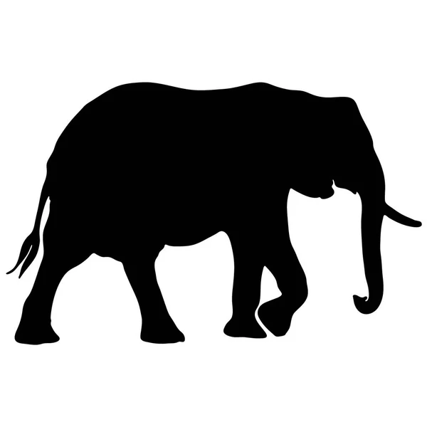 Silhueta de elefante vetorial preto e branco — Vetor de Stock