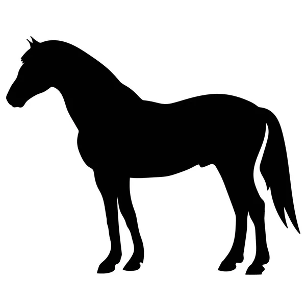 馬罰金ベクトル シルエットと概要 - 優雅な黒種牡馬を飼育 — ストックベクタ