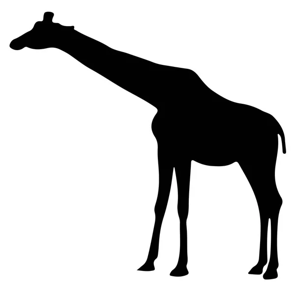 Schwarze Silhouette einer Giraffe. Vektorillustration — Stockvektor