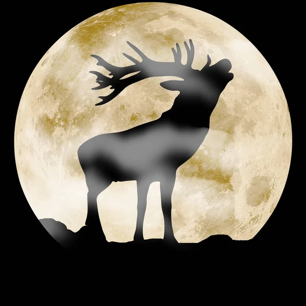 Silhouette noire cerf illustration d'animal — Photo