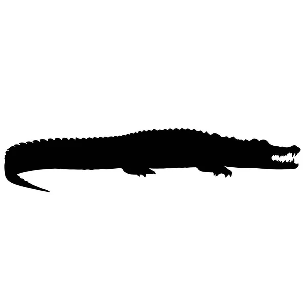 Silhouette alligator vecteur noir et blanc — Image vectorielle