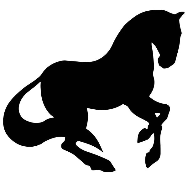 At iyi vektör siluet ve anahat - zarif siyah aygır kadar yetiştirme — Stok Vektör