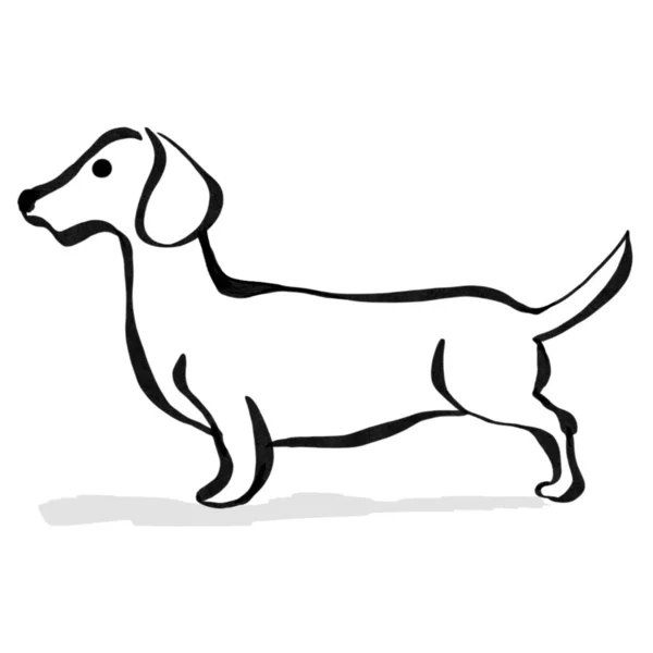 Εικόνα Σκύλου Ασπρόμαυρη Σιλουέτα Ενός Dachshund — Φωτογραφία Αρχείου