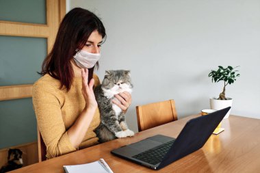 Coronavirus. Koronavirüs yüzünden karantinada olan bir kadın kedisi koruyucu maske takıyor ve dizüstü bilgisayar kullanarak evden çalışıyor. Görüntülü arama. Video konferansı. Evde kal konsepti
