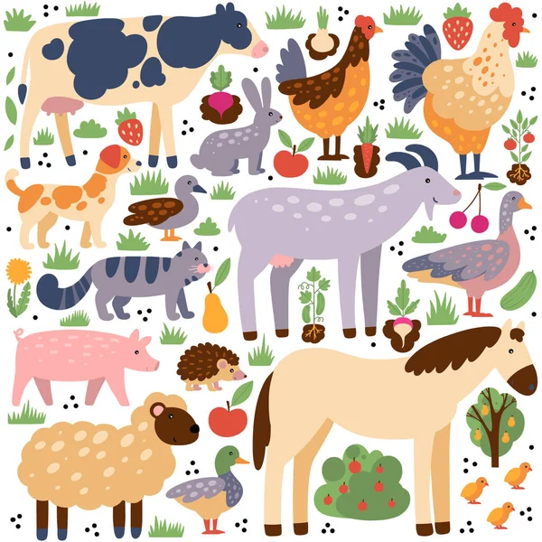 Collection Farm Animals Birds Elements — Stock Vector