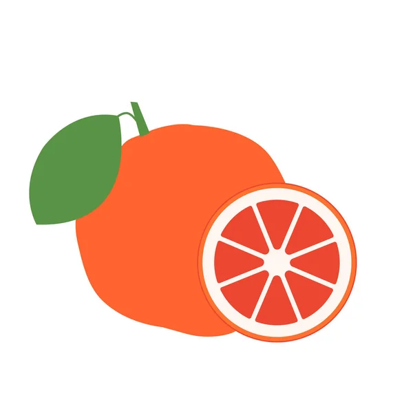 Grapefruit. eine ganze Grapefruit und einen Schnitt. Vektoraktien illustrieren — Stockvektor