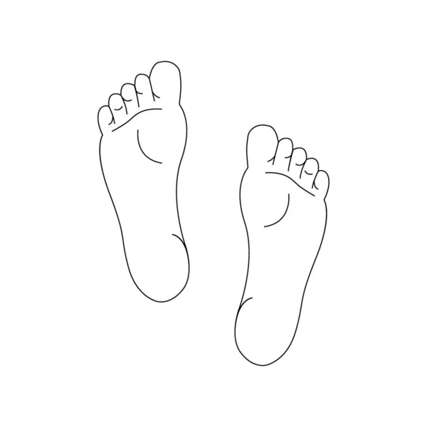 Desenho de linha das solas do pé esquerdo e direito . — Vetor de Stock