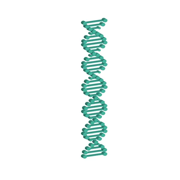 Fio de símbolo de DNA 3D isolado em fundo branco — Vetor de Stock