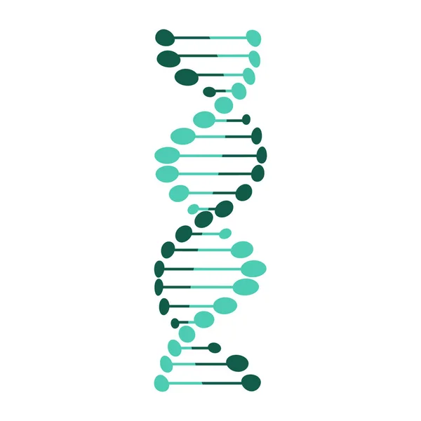 DNA symbol strand Isolated on white background — 스톡 벡터