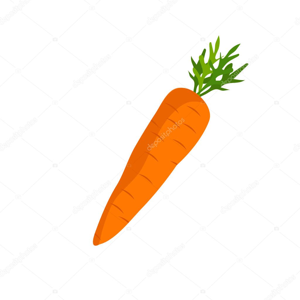 Crunchy carrot vector icon on white background