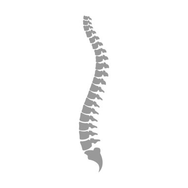 Back pain vector icon - Vector clipart